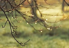 Температурите ще са почти без промяна но към вечерта в събота