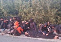 Над 30 млади мъже които се представят за иракчани са