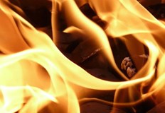 На мястото на инцидента е пристигнала полицияПожар избухна в парк