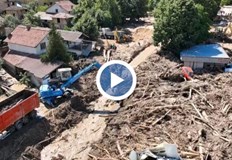 Явор Гечев В документите за дърводобив не са установени нарушенияВсички дърва