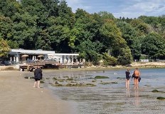 Явлението се нарича сейша или стояща вълнаИзключително интересно явление наблюдаваха