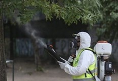 У нас има над 200 регистрирани фирми в браншаКомари виждаме