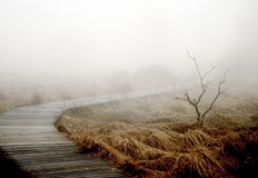 След валежите на отделни места се очакват мъглиМощни порои с