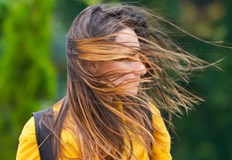 НИМХ обяви жълт код за силен вятър в 7 области