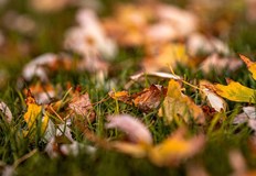 Днес до обяд над по голямата част от страната ще преобладава