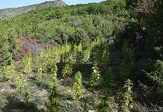 Задържан е 37 годишен германецДве досъдебни производства за престъпления свързани с