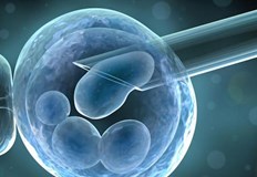 Проучването дава надежда на много семействаУчени създадоха синтетичен ембрион на