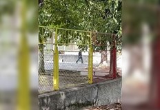 Русенец разхожда кучетата си в двора на детска градинаЗа това