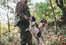 В горите на България хиляди ловци на трюфели заедно с