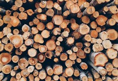 Проверката е показала че количествата са без контролна горска марка