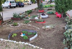 Градинка пред блок в русенския квартал Дружба радва минувачитеФеерия от