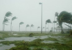 Хората се редят на опашки за бутилирана вода генератори и