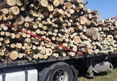 Какви са цените за кубик Между 100 и 150 лева на кубичен