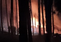 Пожар гори в парк Тюлбе в КазанлъкЗапалила се е постройка