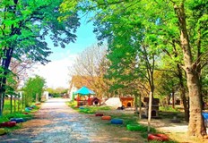 С усилията на доброволците и екипа осиновените животни са над