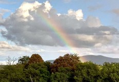 През седмицата температурите ще започнат бавно да се повишаватВ неделния