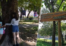 Русенци могат да се насладят на преобразувания площад и да посетят