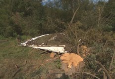 Бракониерите са от електората на една партия която години наред