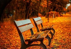 Градът ще бъде домакин на 38 международни национални и регионални