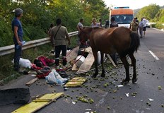 Пострадала е возеща се в автомобила жена която е настанена в