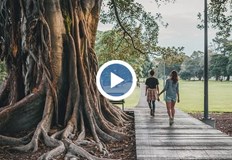 До края на седмицата ще е сравнително топло на места