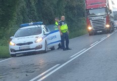 Движението се регулира от полицаиПаднало дърво затруднява движението край село