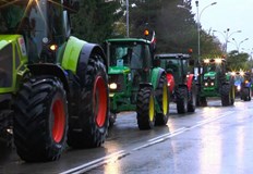 Началният час е 11 00Националната асоциация на зърнопроизводителите и Националният съюз