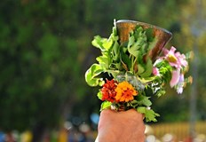 Първият учебен ден е най вълнуващият ден за българското училище особено