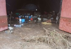 Дарителска сметка е разкрита в помощ на животновъдите от село Червена