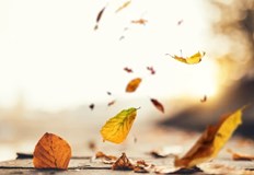 Дневните температури още ще се повишат и максималните ще са