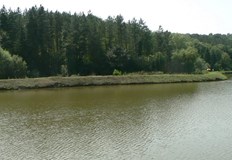 За целта ще бъде сформирана междуведомствена комисияПрез октомври ще се