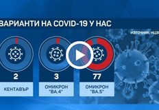 Мутацията известна като Кентавър се установява при две от общо