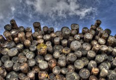 Мними търговци се представят за горски служители и събират авансово