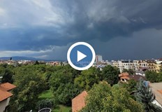 Дърво е било ударено от гръм в Борисовата градина по