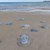Бургаските плажове се покриха с мъртви медузи