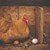 Все повече парижани отглеждат кокошки в апартаментите си