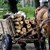 Каруцата от инцидента на пътя Борисово - Юделник е била натоварена с незаконна дървесина