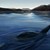 Мъж твърди, че е наблюдавал чудовище да плува в езерото Лох Нес цели 7 минути