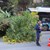 Автобус на градския транспорт в София се заби в дърво