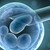 Учени създадоха синтетичен ембрион