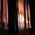Пожар гори в парк "Тюлбе" в Казанлък