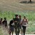Турската жандармерия е задържала 146 мигранти на границата с България