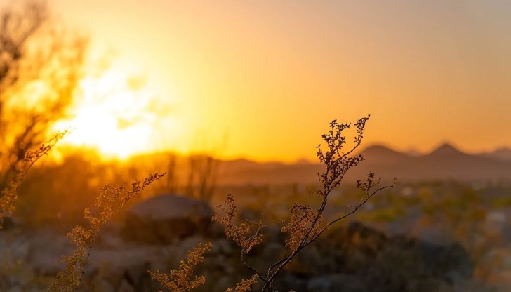 Днес времето ще е слънчево и топло