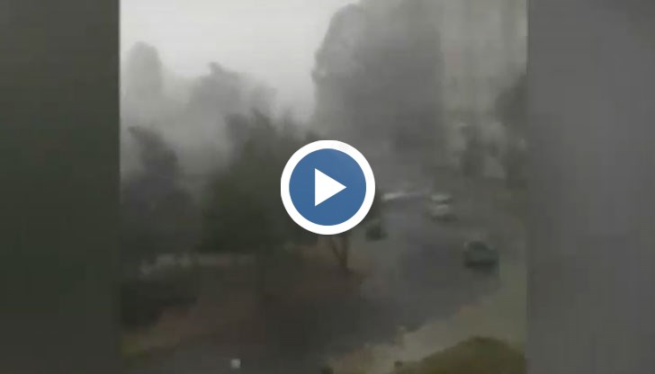 Щетите за земеделските производители са 95%