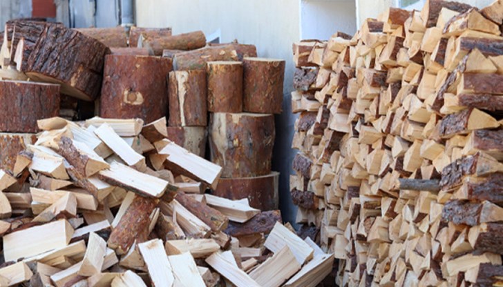 Последните две-три десетилетия българската гора беше изсичана и търгувана за износ просто брутално Последните две-три десетилетия българската гора беше изсичана и търгувана за износ просто брутално