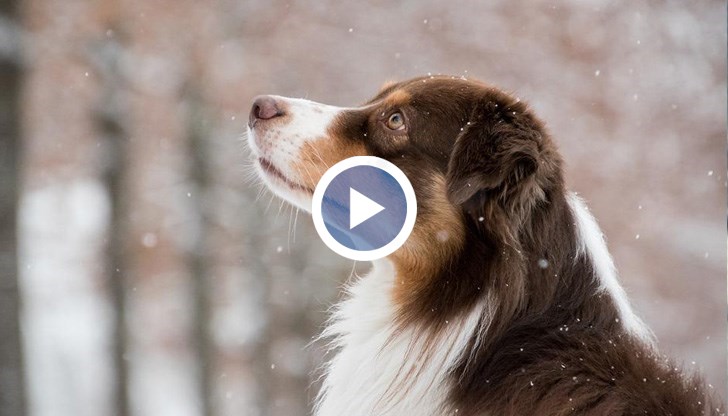 По високите планински върхове температурите са около 0 градуса