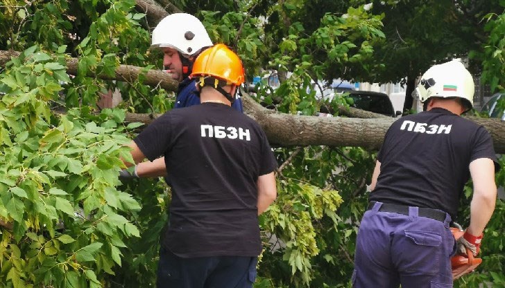 Паднали дървета и клони, опасни стълбове и ламарини, както и няколко пожара в неделния ден Паднали дървета и клони, опасни стълбове и ламарини, както и няколко пожара в неделния ден