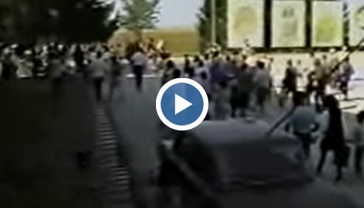 "Мила" картинка, на която днес се чудим да се смеем ли, или да плачем