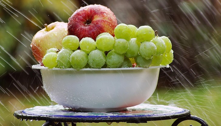 Диетите с добавка на грозде повишават нивата на антиоксидантните гени