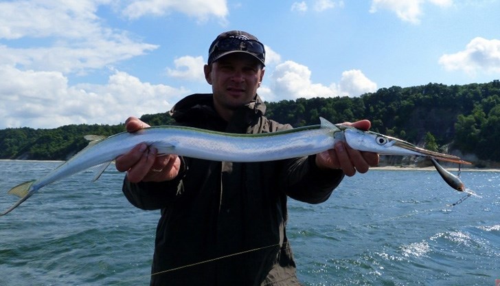 Уловът на зарган е висш пилотаж в риболова и за него се иска истински майсторлък